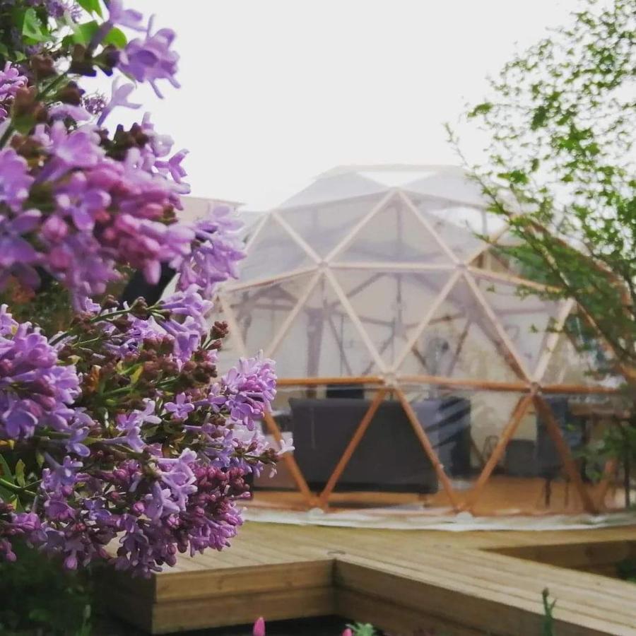 Le Dome Aux Oiseaux Otel Bérig-Vintrange Dış mekan fotoğraf
