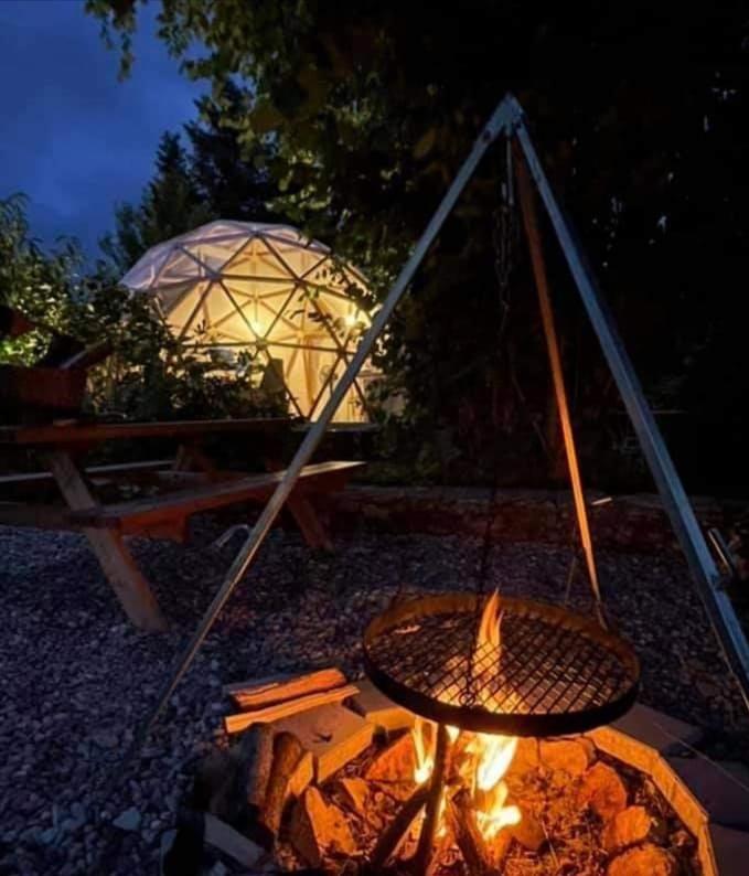 Le Dome Aux Oiseaux Otel Bérig-Vintrange Dış mekan fotoğraf